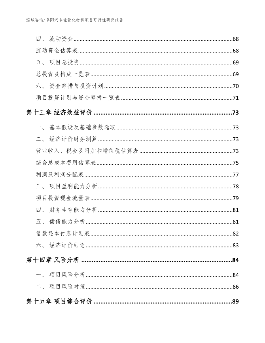 阜阳汽车轻量化材料项目可行性研究报告【范文参考】_第4页