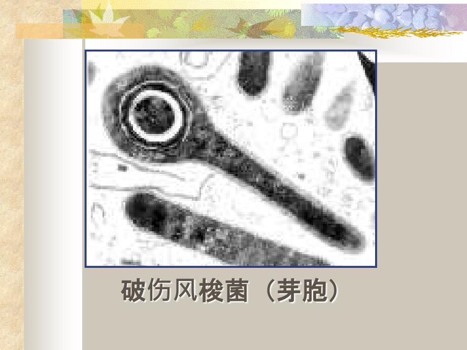 医学微生物实验_第4页