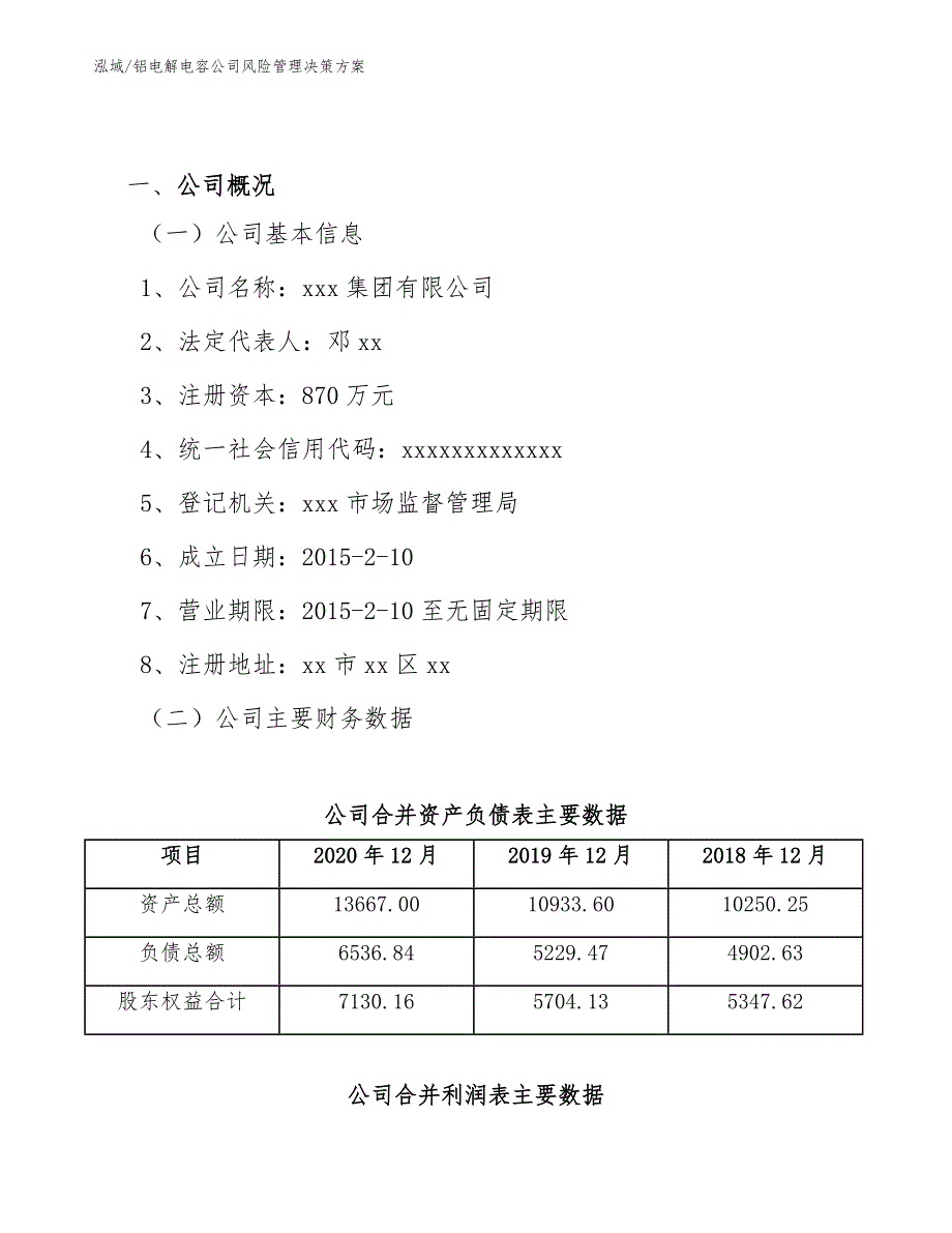 铝电解电容公司风险管理决策方案（参考）_第2页