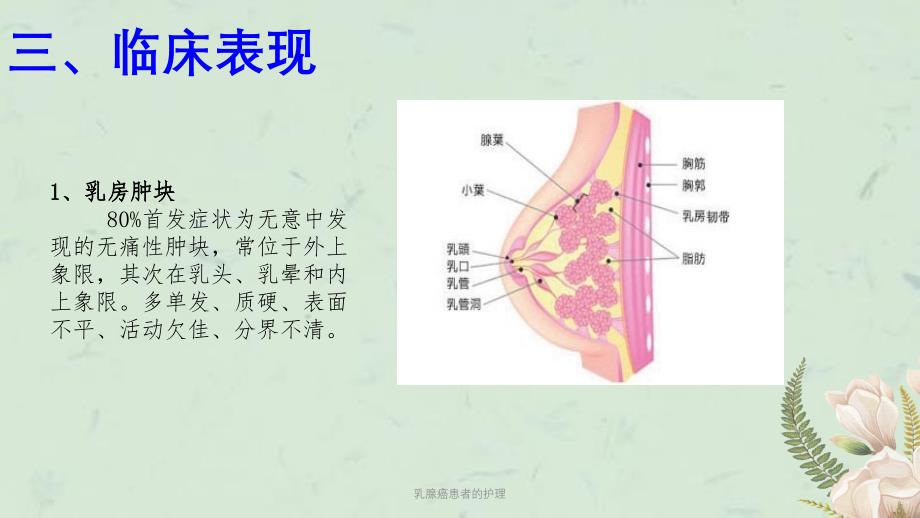 乳腺癌患者的护理课件_第5页