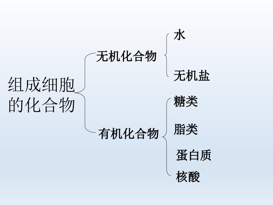 必修一22生命活动的主要承担着蛋白质_第1页