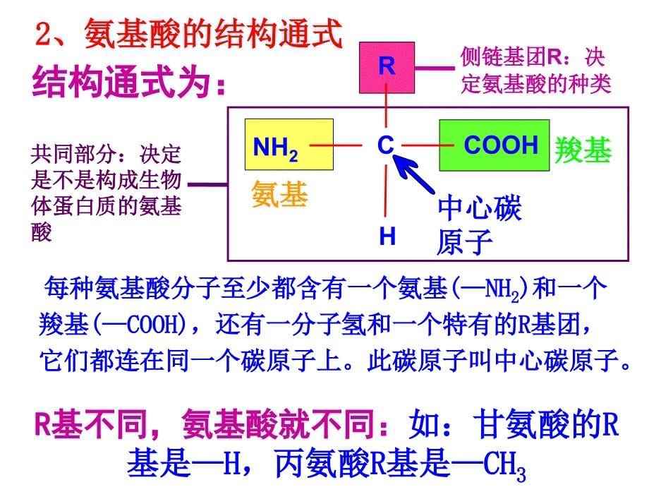 必修一22生命活动的主要承担着蛋白质_第5页