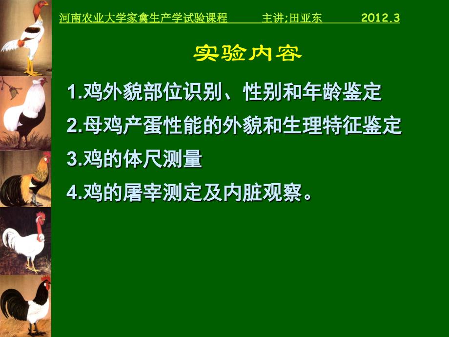 成鸡综合实验_第4页