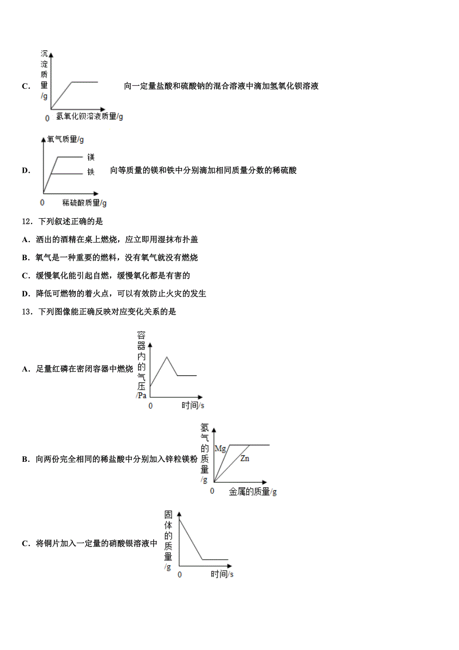 吉林市重点中学2023届初中化学毕业考试模拟冲刺卷含解析_第3页