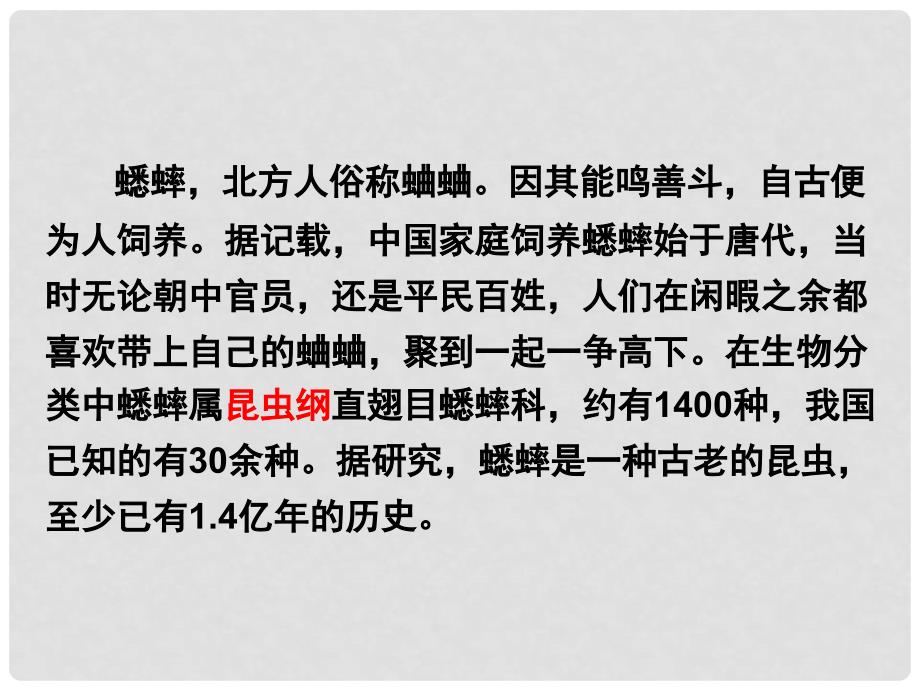 湖南省耒阳市冠湘学校七年级语文下册 12《蟋蟀在时报广场》课件 语文版_第2页