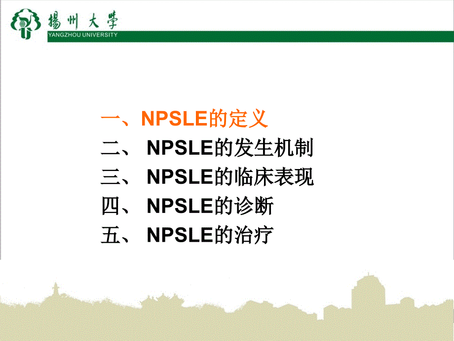 医学交流课件：神经精神性狼疮_第2页