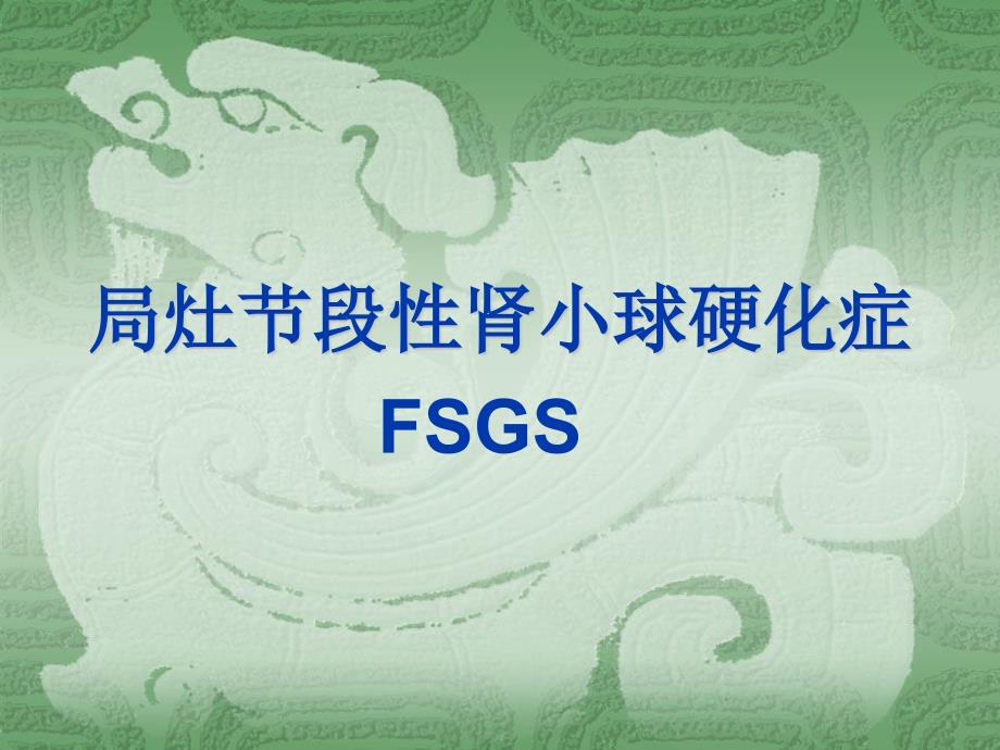 局灶节段增生硬化性肾炎FSGS_第1页