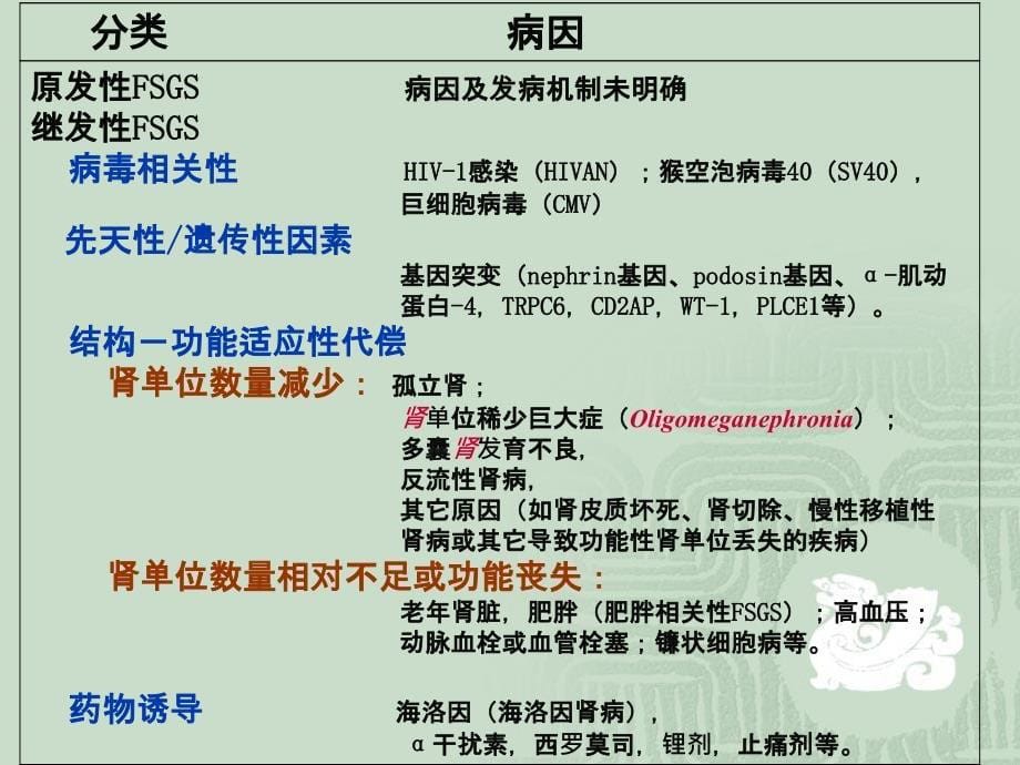 局灶节段增生硬化性肾炎FSGS_第5页