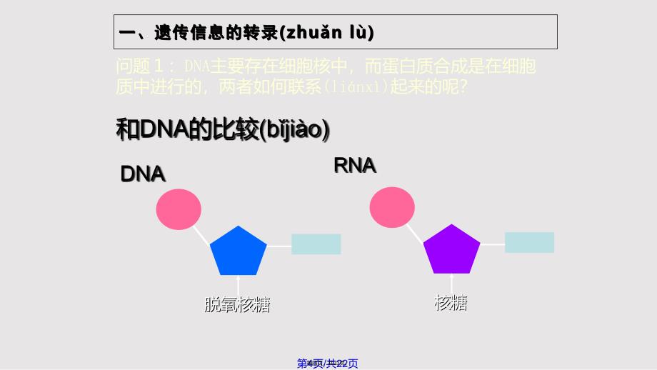 4.1.1基因指导蛋白质的合成实用教案_第4页