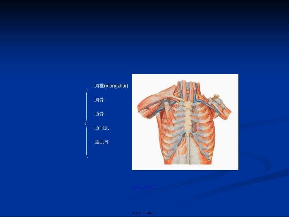 机械通气的临床应用研究生课程学习教案_第5页