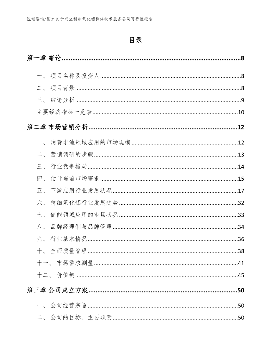 丽水关于成立精细氧化铝粉体技术服务公司可行性报告（模板范文）_第2页