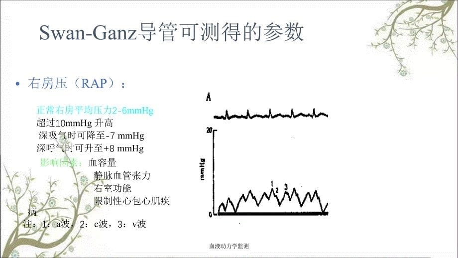 血液动力学监测课件_第5页