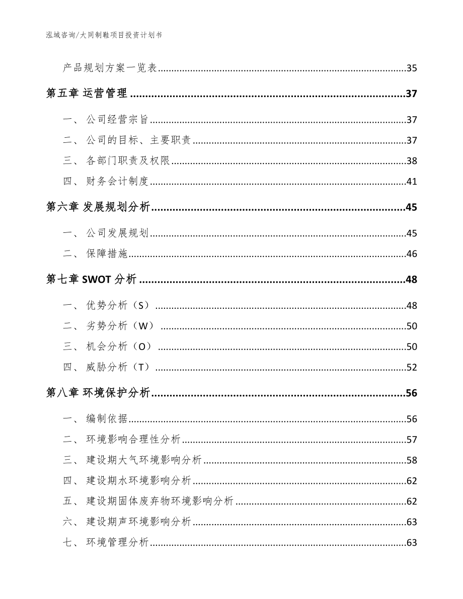 大同制鞋项目投资计划书（模板范文）_第3页