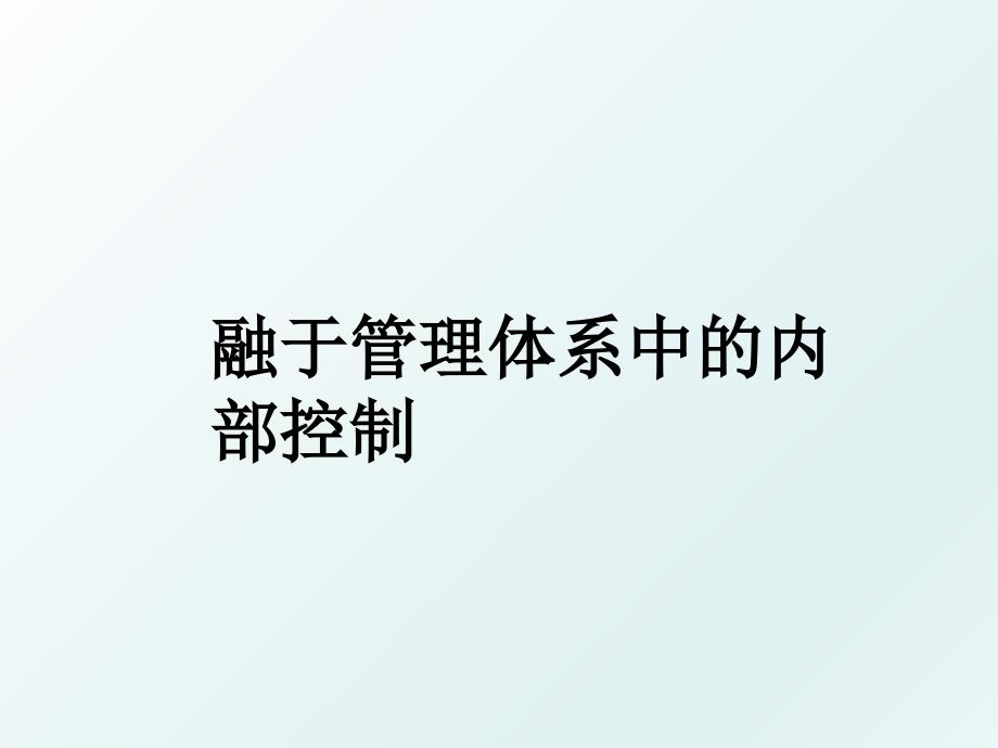 融于体系中的内部控制_第1页