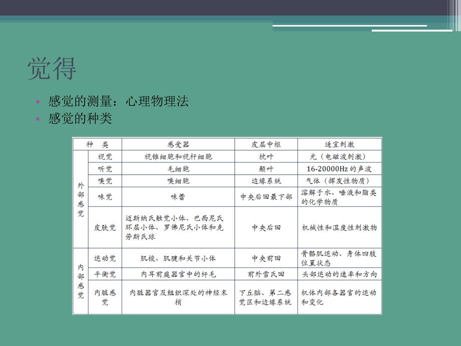 实验心理学第九讲感觉与知觉ppt课件_第2页