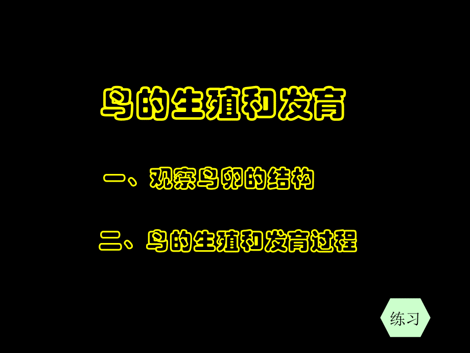 鸟类的生殖和发育课件_第1页