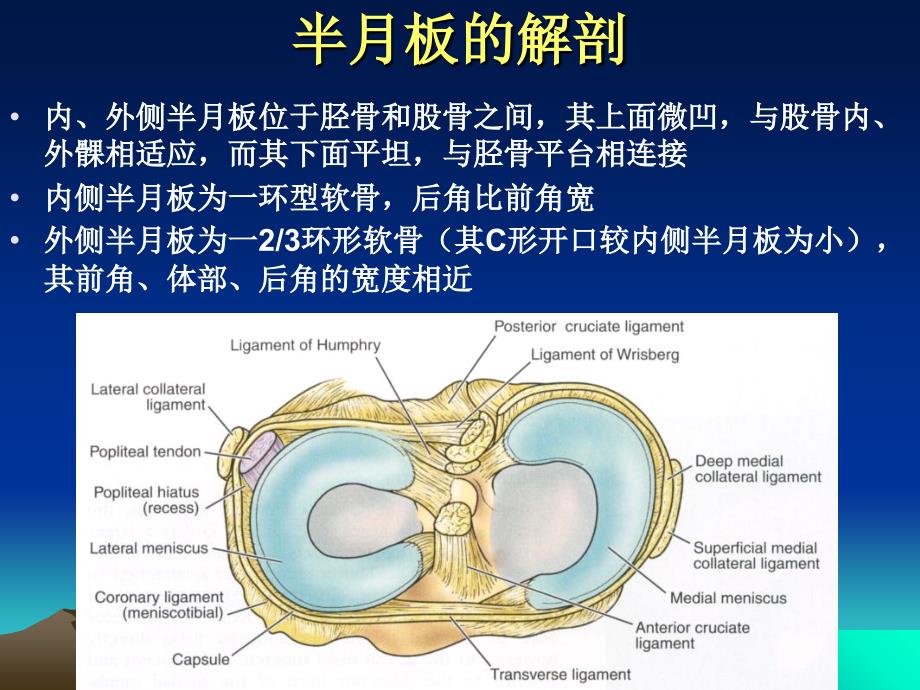 半月板损伤标准_第2页