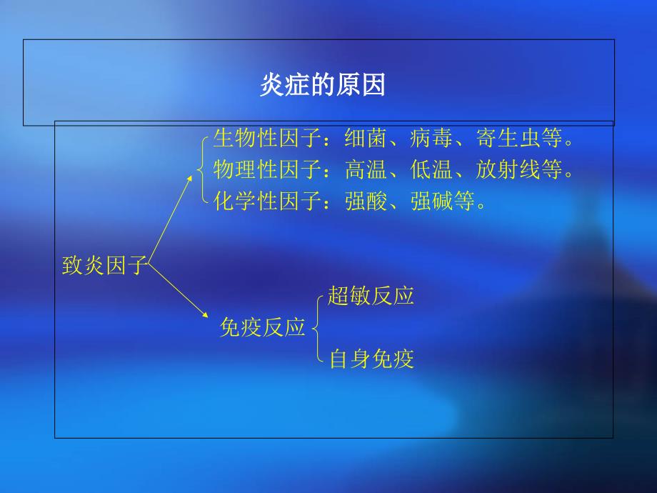 动物病理学炎症课件_第3页