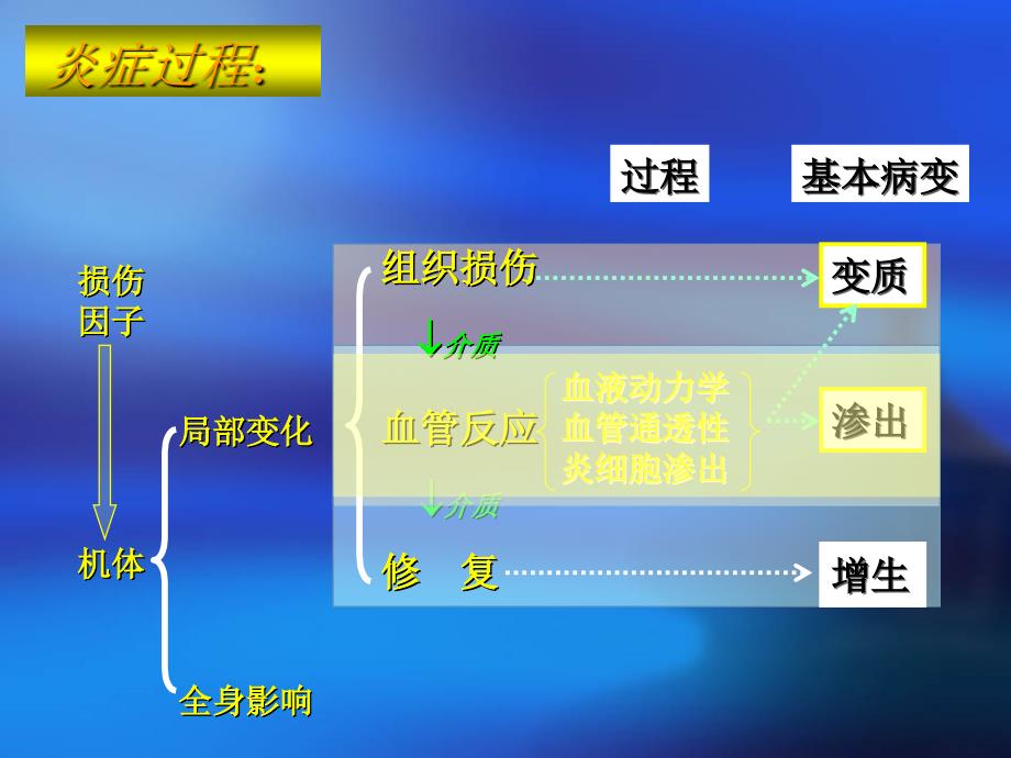 动物病理学炎症课件_第4页