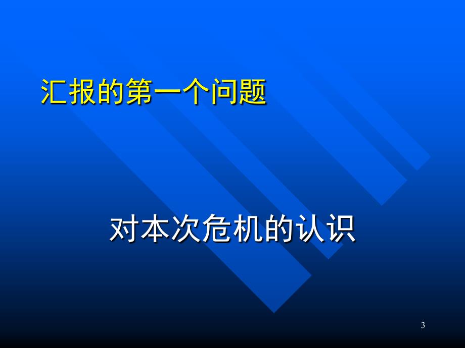 认清危机科学发展39;湖南发展论坛_第3页