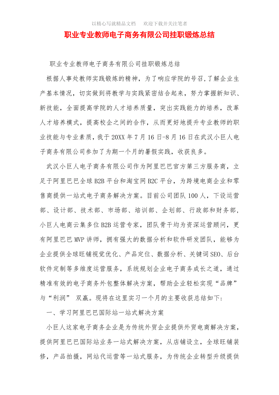 职业专业教师电子商务有限公司挂职锻炼总结范文精选_第1页