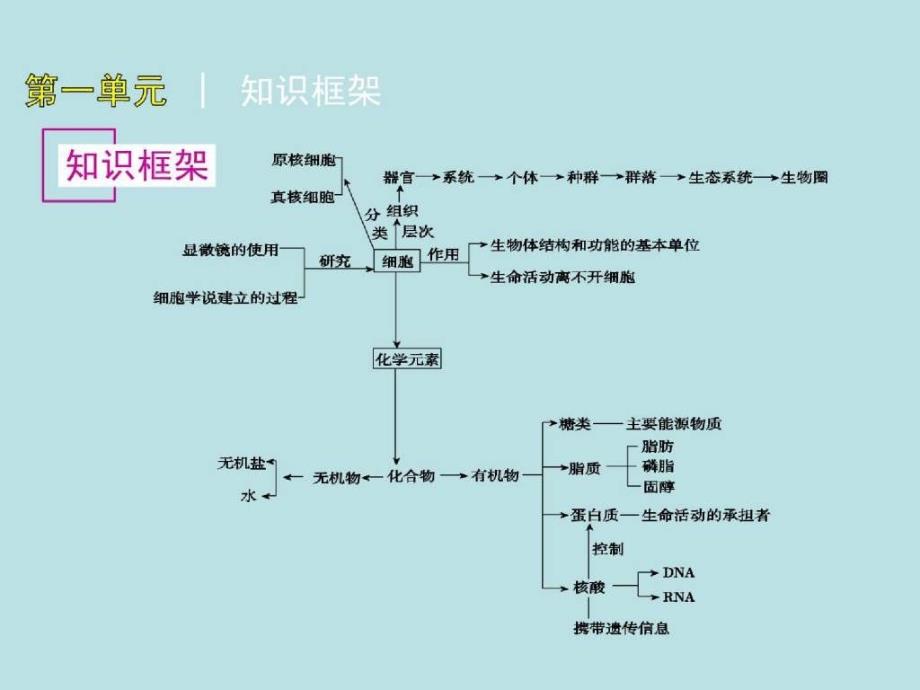 高考生物浙科第一轮复习精品课件：第1单元 细胞的分子组成_第3页