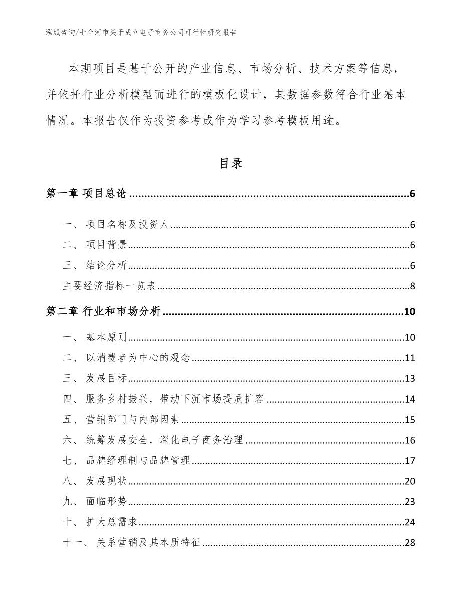 七台河市关于成立电子商务公司可行性研究报告参考模板_第2页