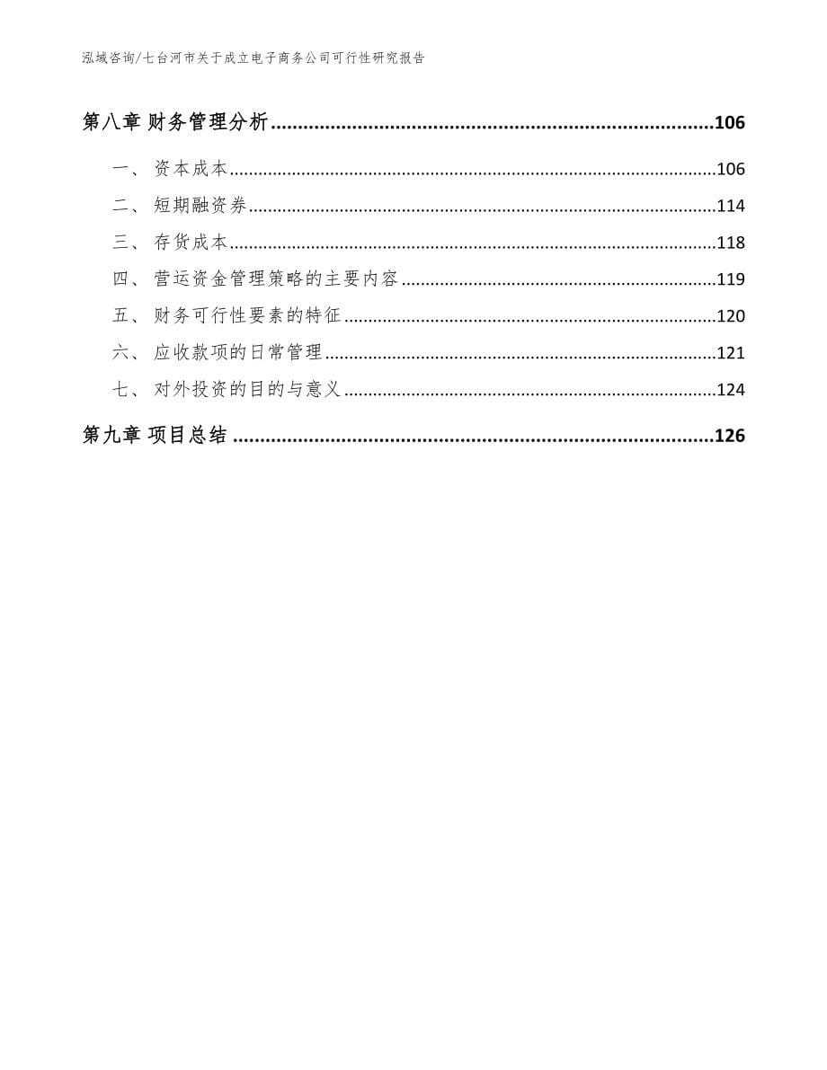 七台河市关于成立电子商务公司可行性研究报告参考模板_第5页