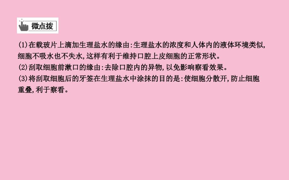 第一章第三节动物细胞ppt课件_第3页