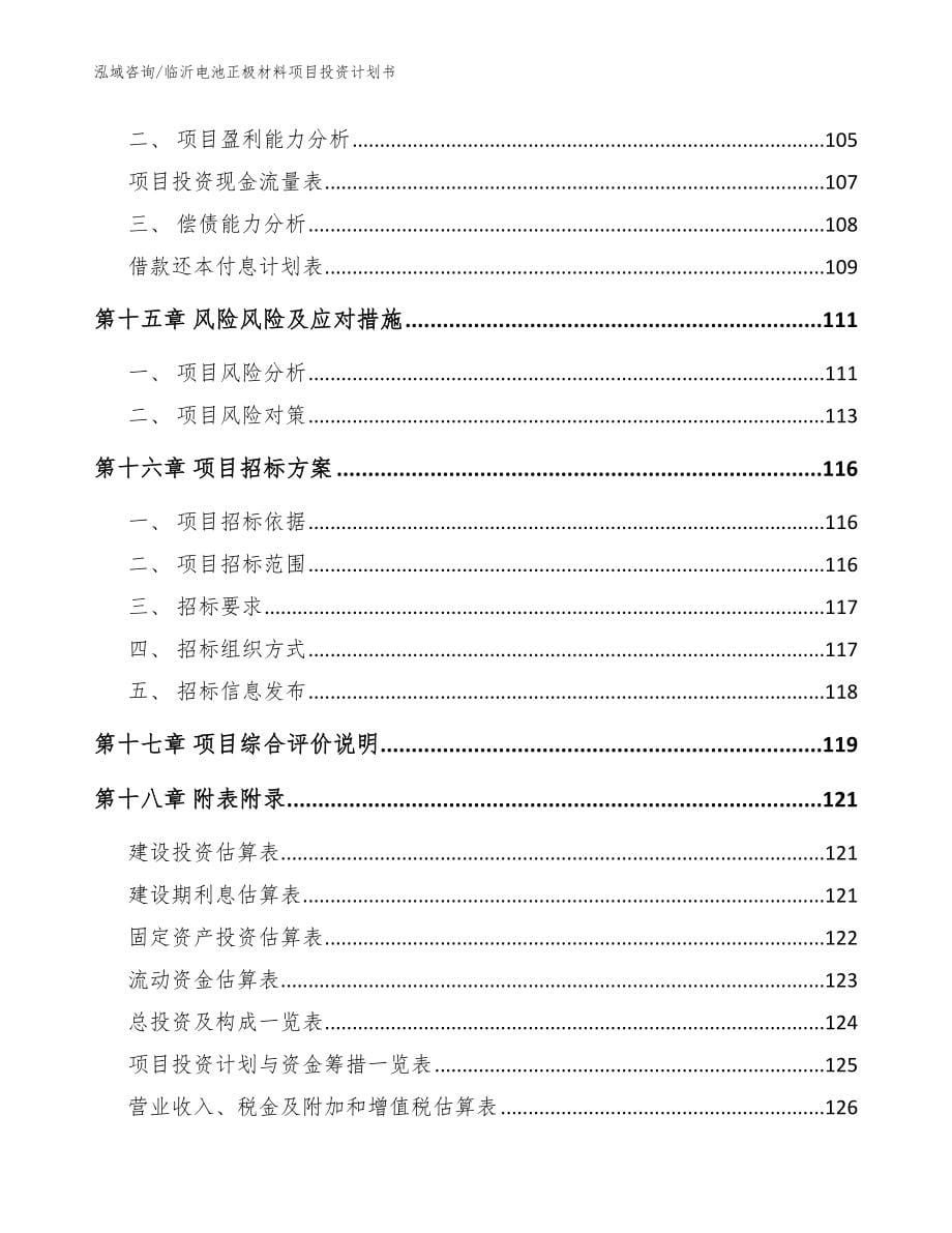 临沂电池正极材料项目投资计划书范文参考_第5页