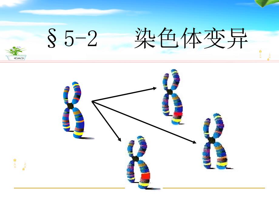 5.2染色体变异课件2王利_第1页