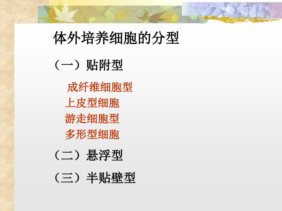 动物细胞培养技术.ppt_第4页