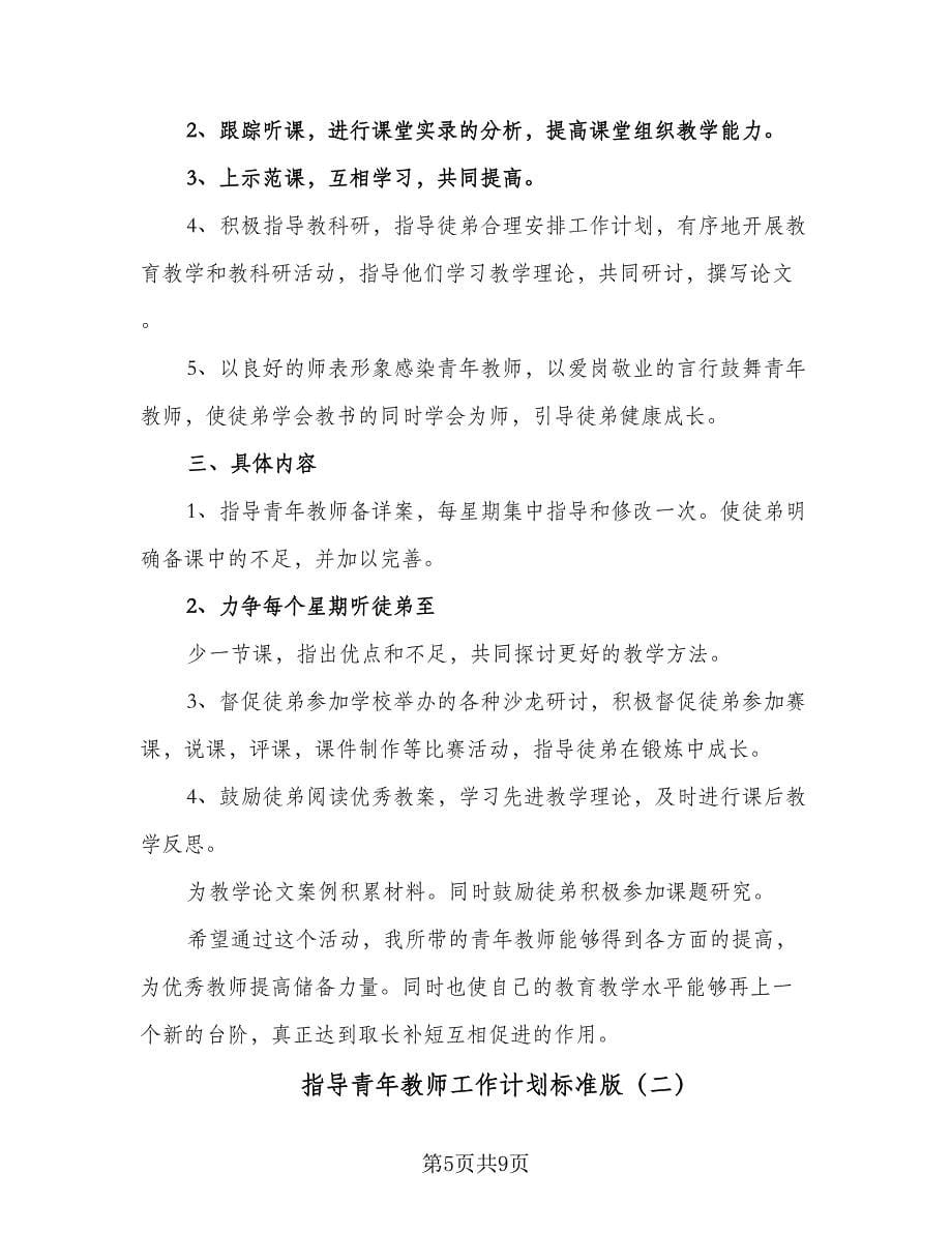 指导青年教师工作计划标准版（2篇）.doc_第5页