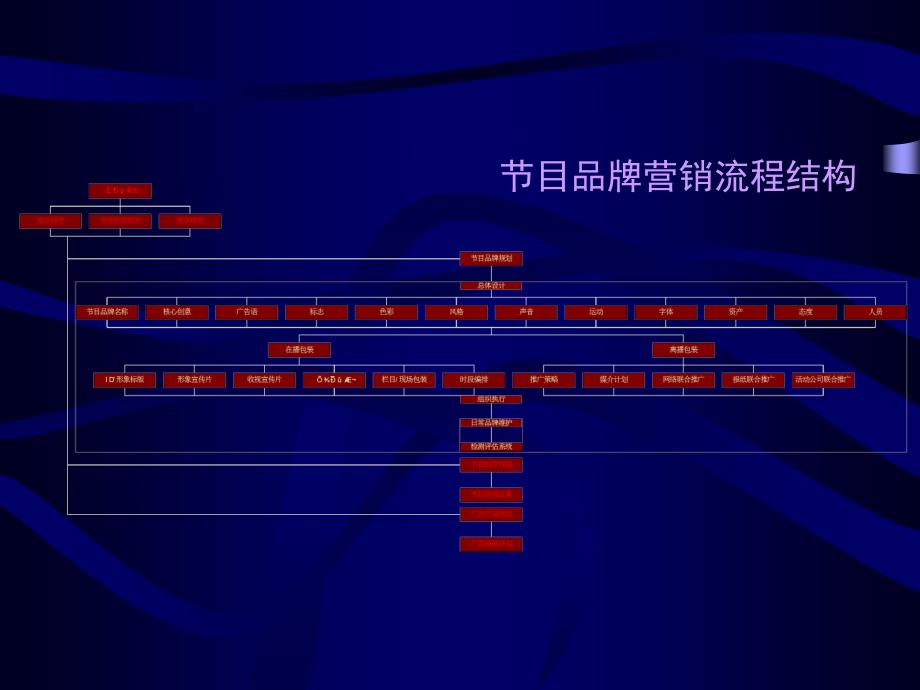 AD魅影江西卫视明日广告之星品牌营销规划提案课件_第3页