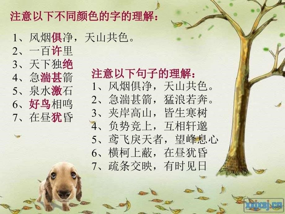 与朱元思书课件_第5页