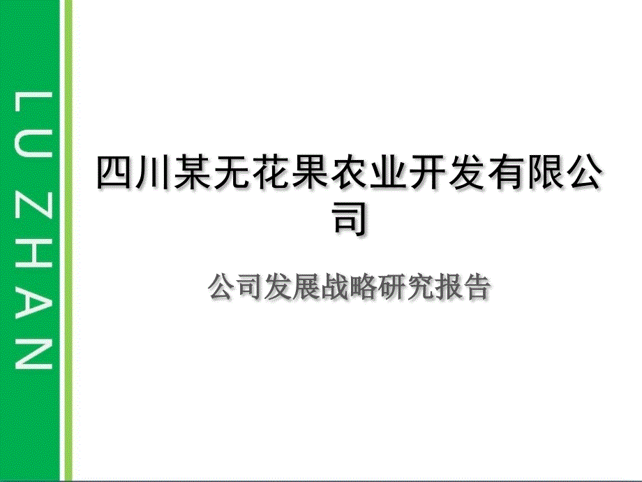 农业开发企业战略规划解读_第1页