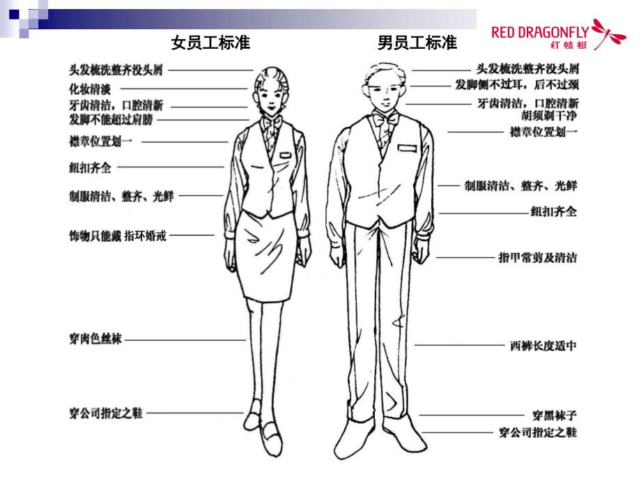 红蜻蜓导购服务课件_第4页