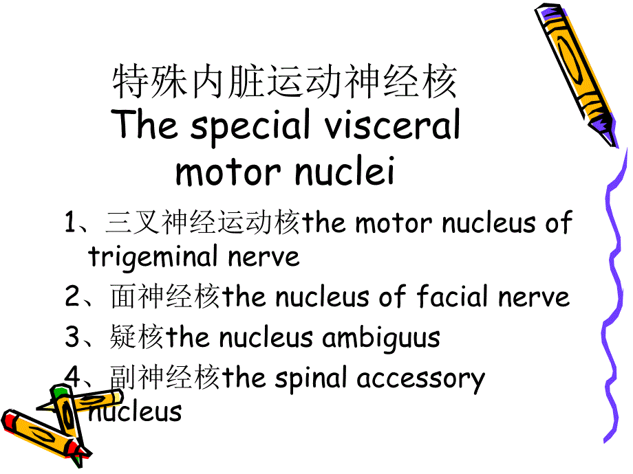 脑干的内部结构课件_第4页