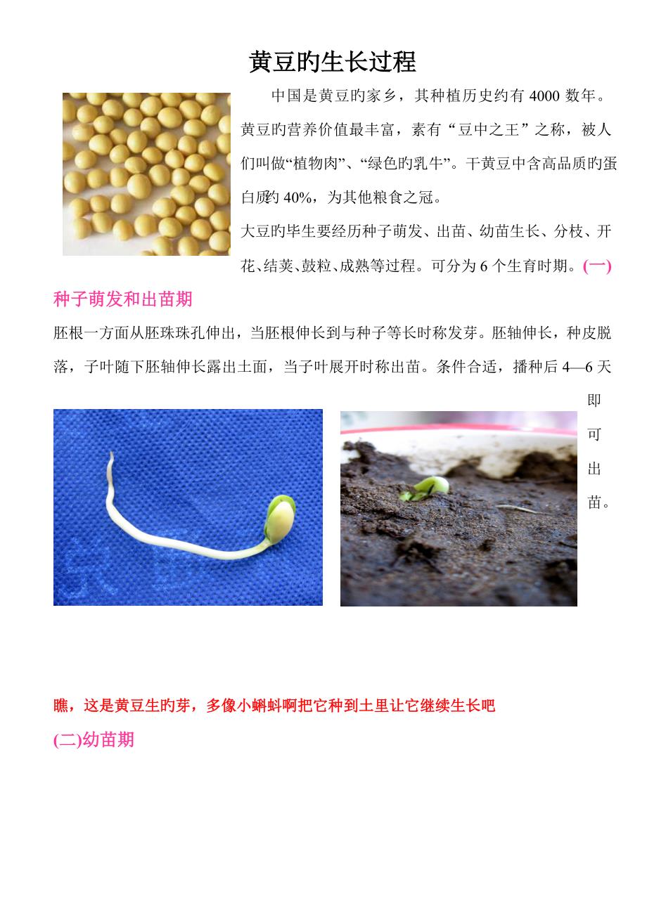 黄豆的生长过程图解_第1页