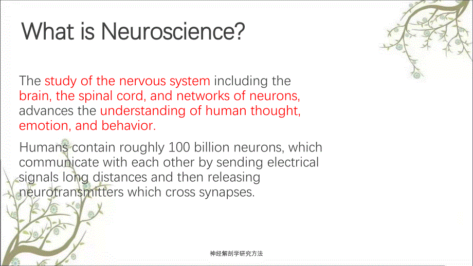 神经解剖学研究方法_第2页