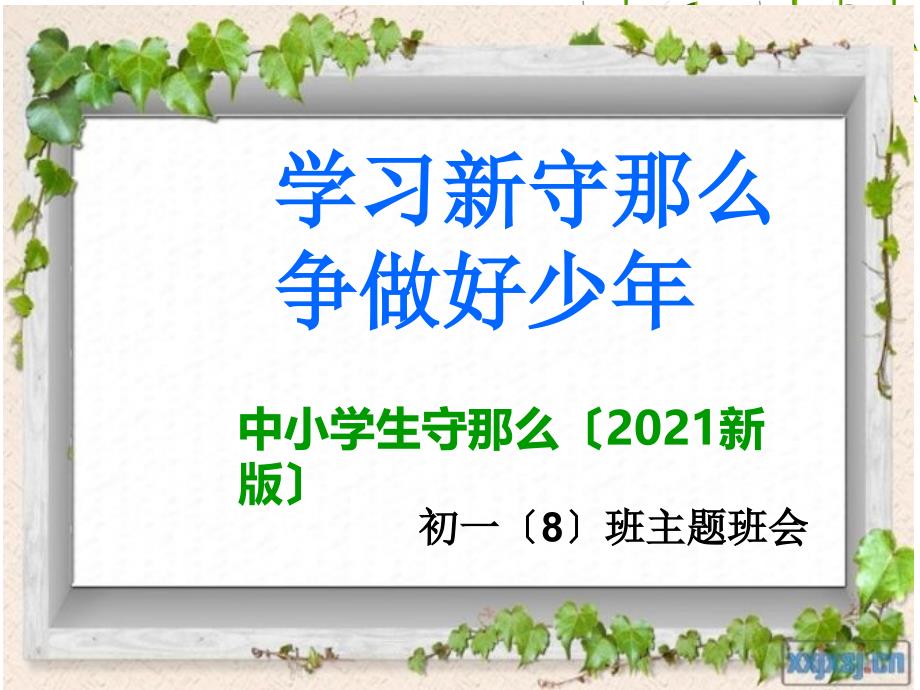 学习新守则争做好少年初一8班主题班会_第1页