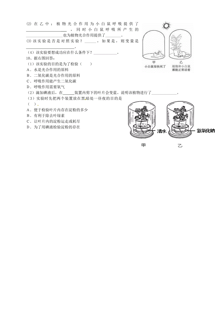 精选类七年级生物上册第五章第一节光合作用吸收二氧化碳释放氧气导学案无答案新人教版_第3页