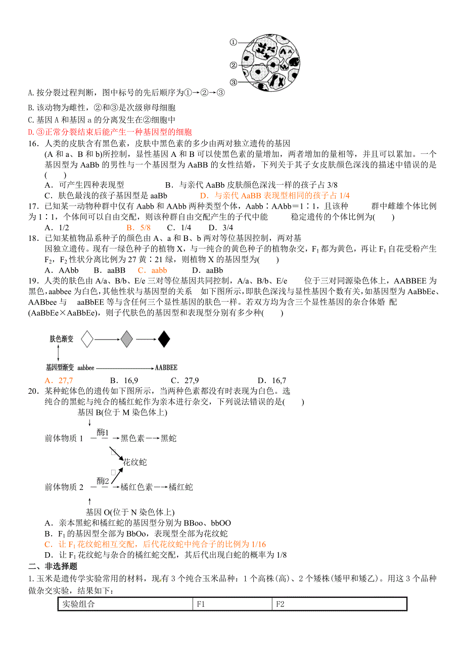 遗传的基本规律复习题_第3页