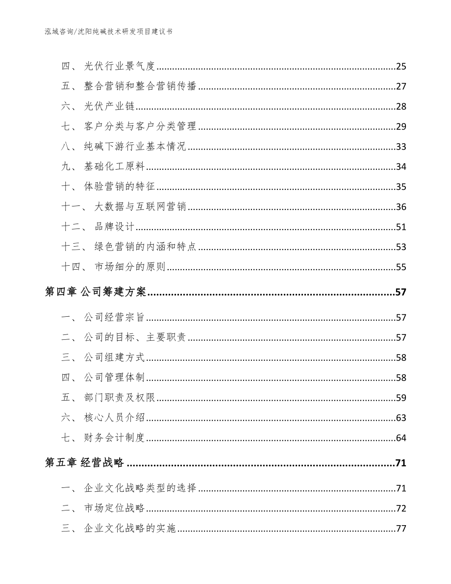 沈阳纯碱技术研发项目建议书（参考模板）_第4页