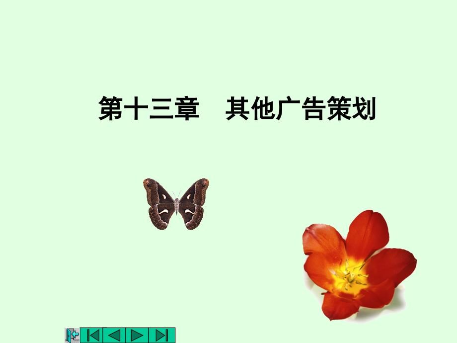 第十三章其他广告策划_第1页