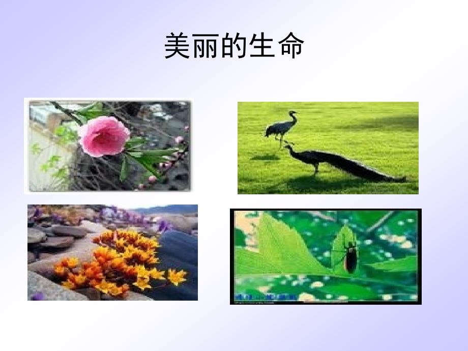 短文两篇 (3)_第3页