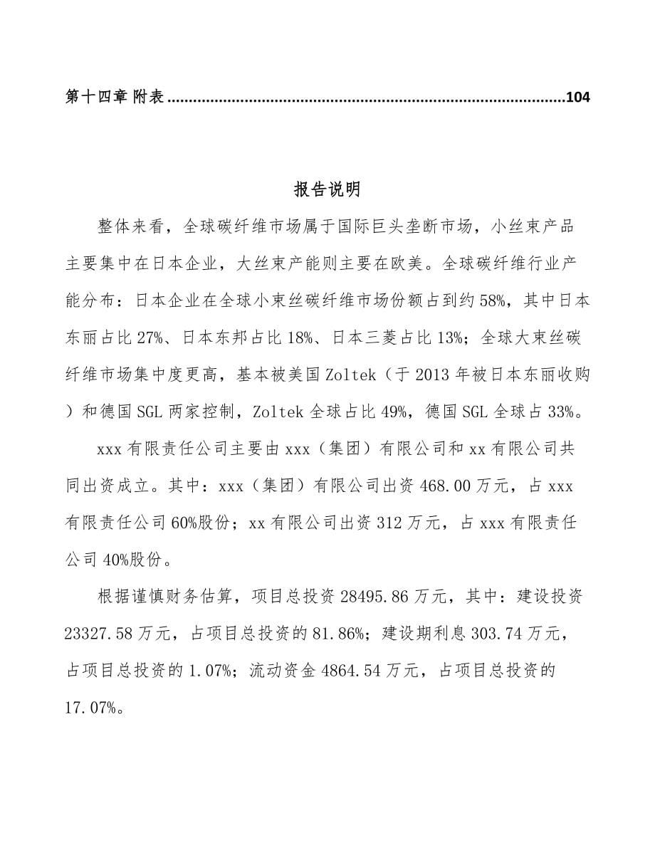 南宁关于成立碳纤维原丝公司可行性研究报告_第5页