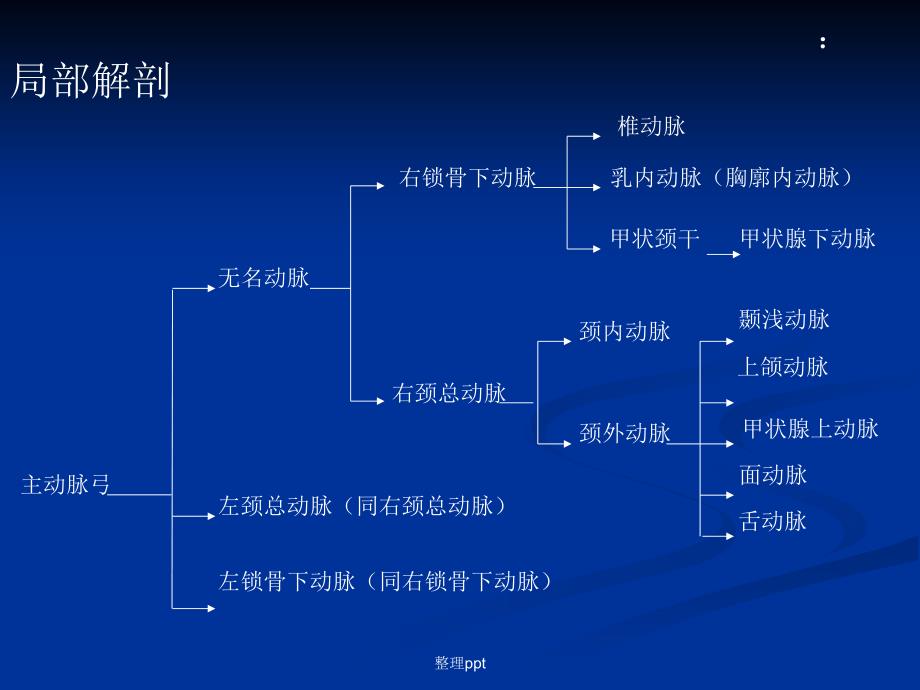 全系颈动脉疾病B超诊断图解1_第4页