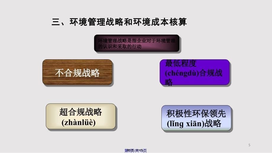 Ch环境成本管理实用教案_第5页