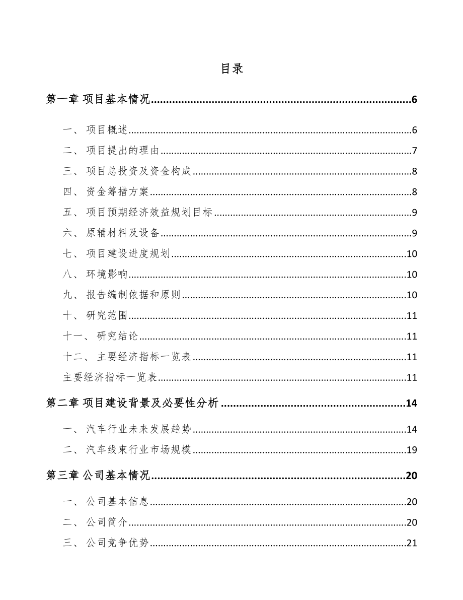 青海汽车线束项目可行性研究报告_第1页